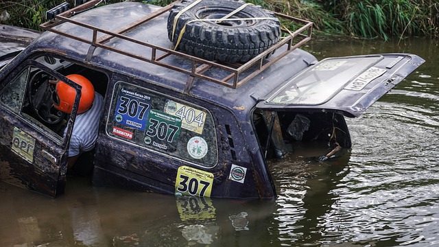 球队主教练 球队主教练