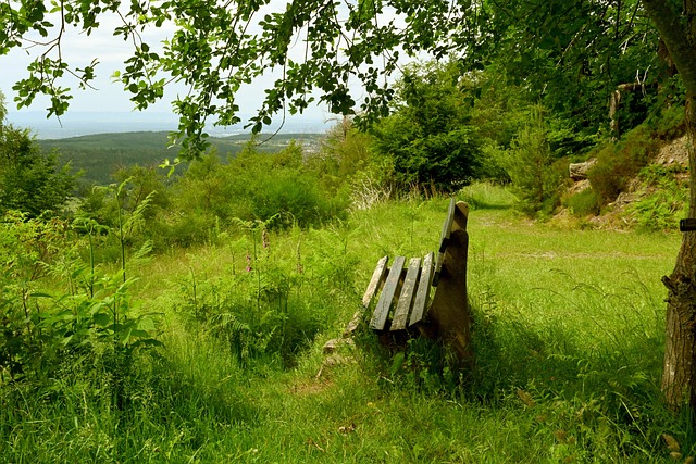 将如何影响 将如何影响