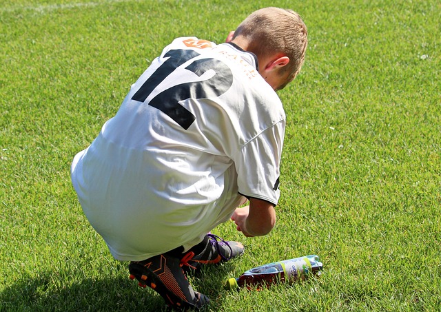 毛球书写新 毛球书写新