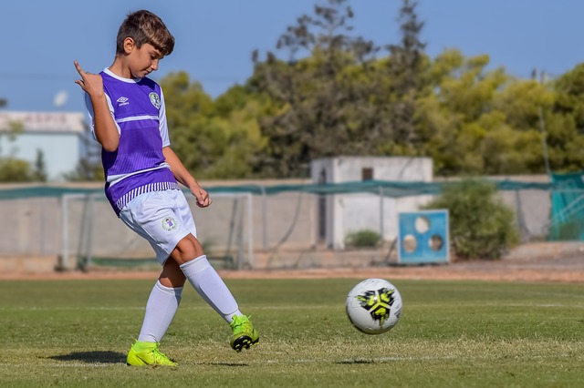 不仅吸引了 不仅吸引了