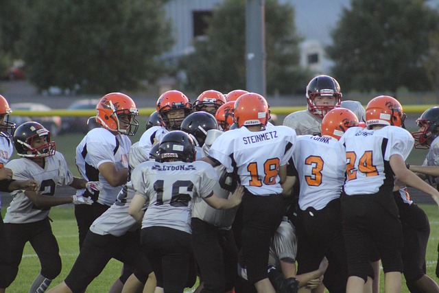 新动态不仅 新动态不仅