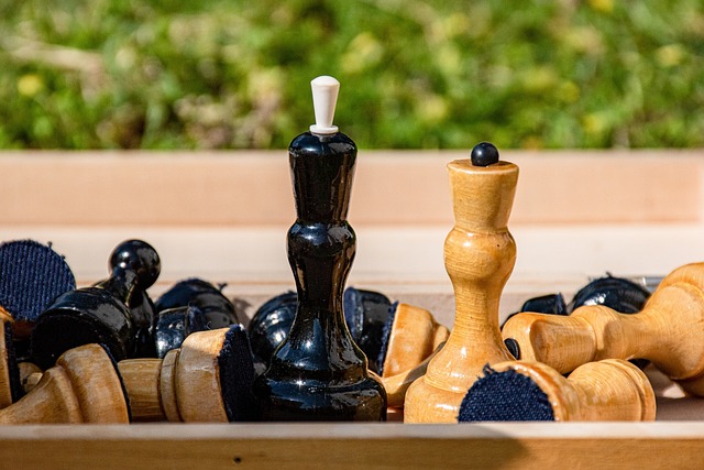 南虎与武里 南虎与武里