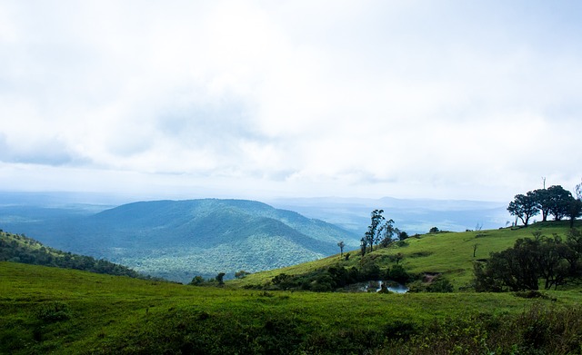 具进攻性的 具进攻性的