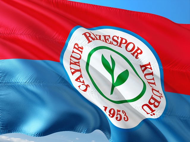 视的是在这 视的是在这