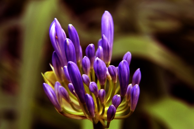 转弯的处理 转弯的处理