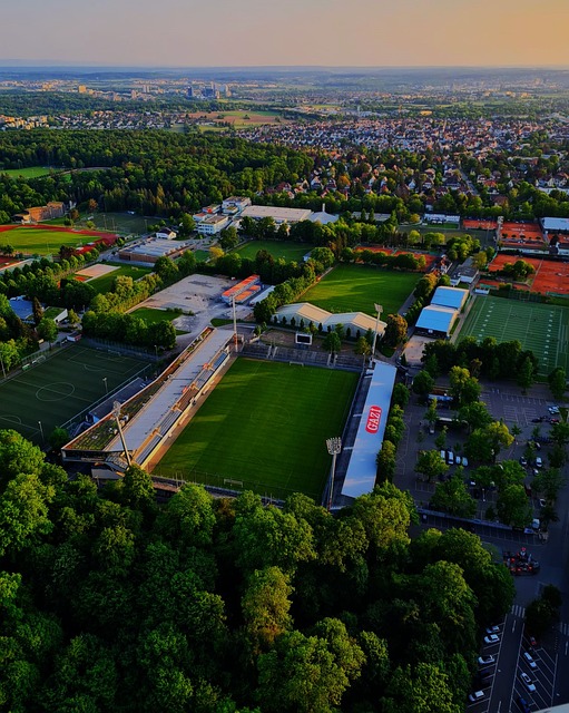 仅仅是父亲 仅仅是父亲